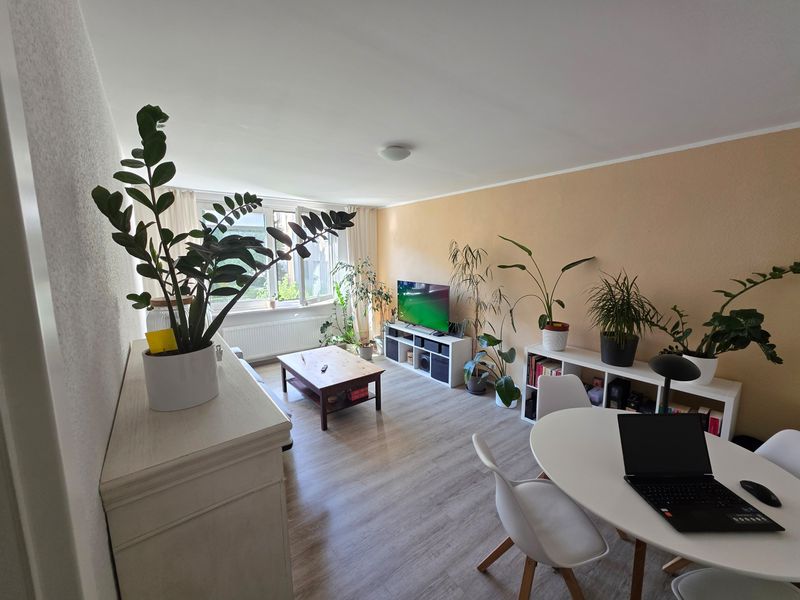 !! NEU !! Modernisierte OG.-Wohnung in Essen-Holsterhausen